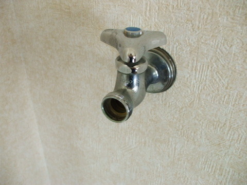 DSCF5445.JPG